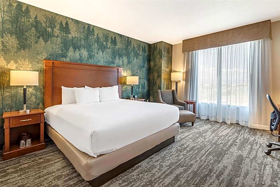 Drury Plaza Hotel Denver Central Park