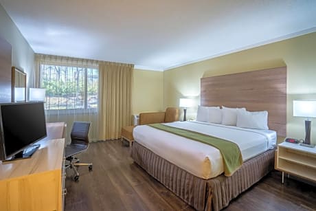 Executive King Room
