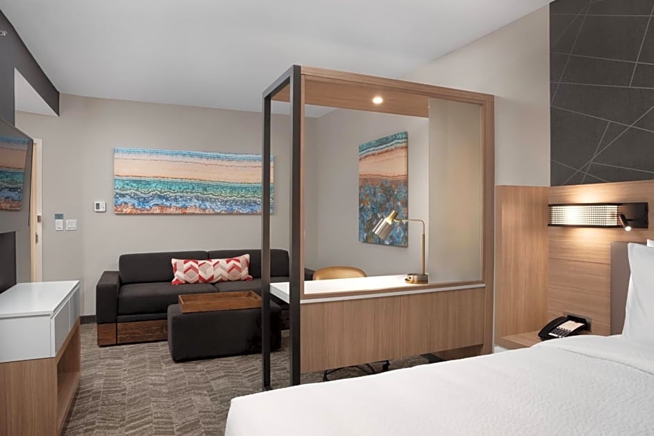 SpringHill Suites by Marriott Orlando Theme Parks/Lake Buena Vista