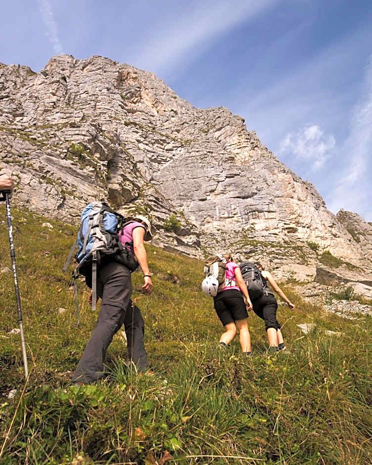 Alphotel Biel-Kinzig - Access by Cable Car only!