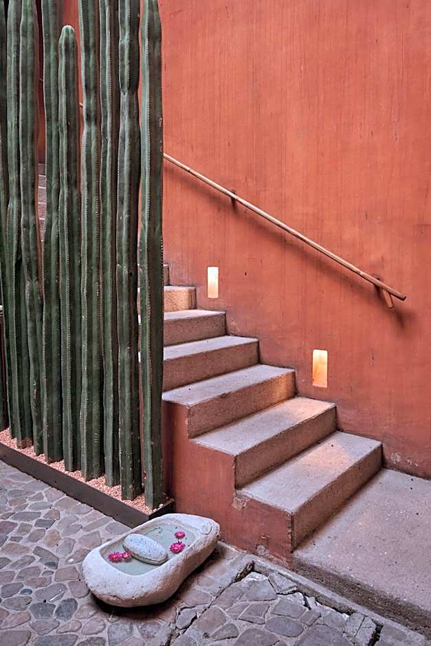 Casa Carmen Reforma