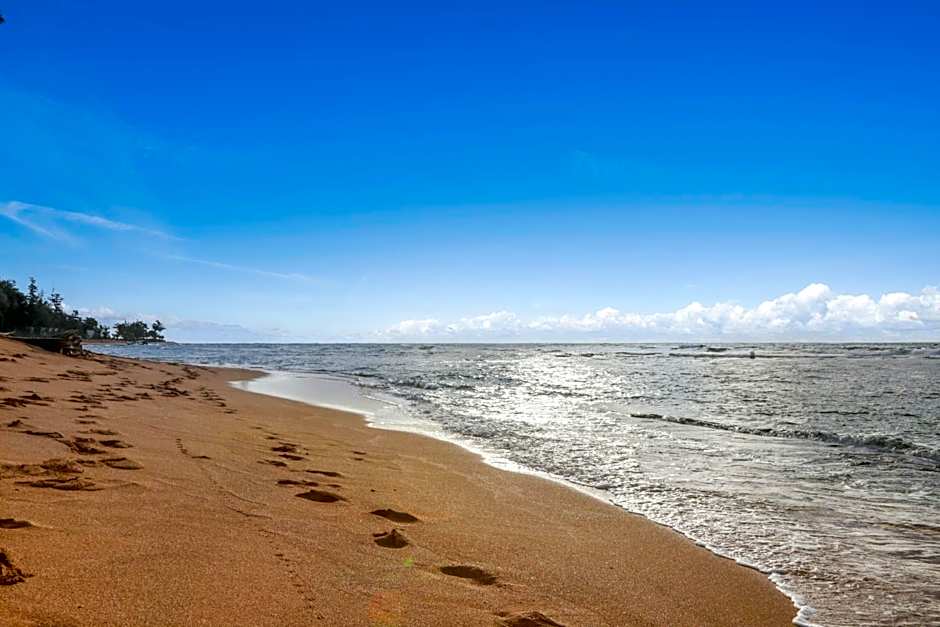 Aston Islander On The Beach