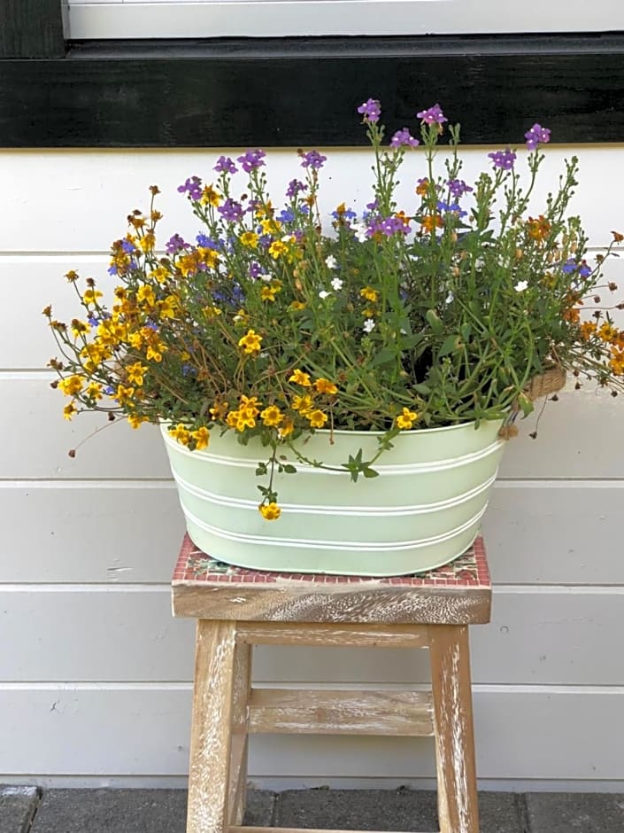 Bed & Breakfast Zevenhuizen