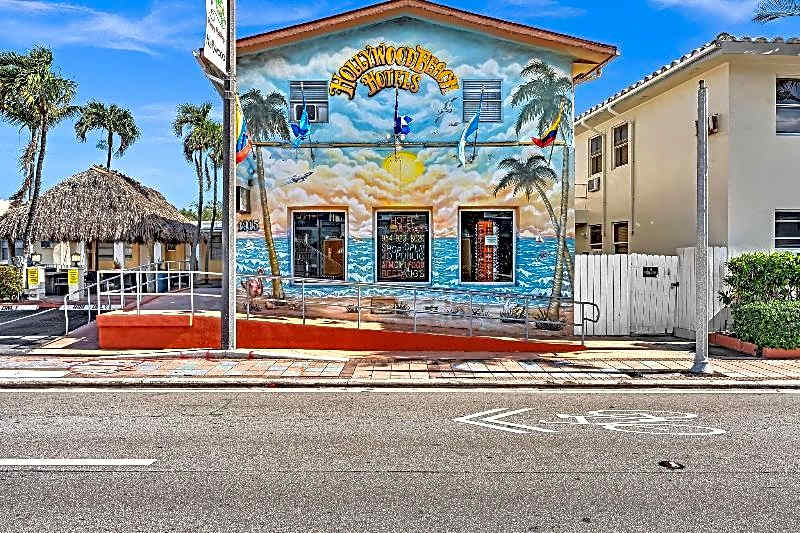 Hollywood Beach Seagull