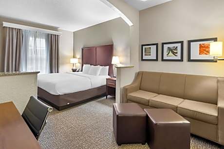 King Suite with Roll-in-Shower - Accessible/Non-Smoking