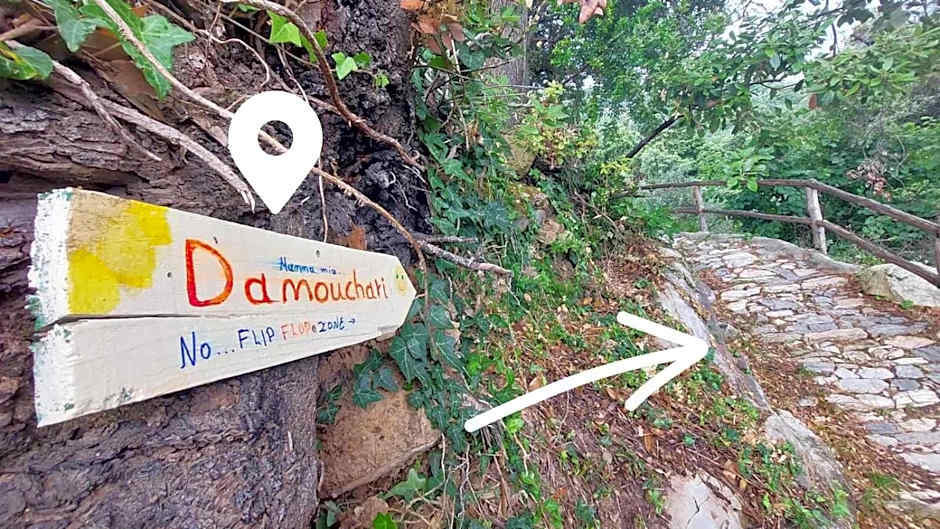 SunRiseStudiosPapanero