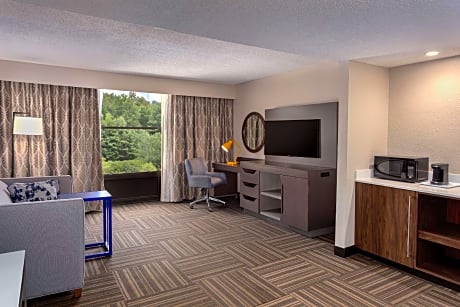 2 Queens One Bedroom Suite Nonsmoking