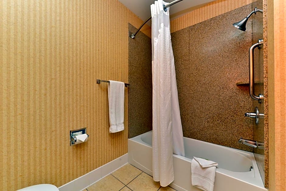 Holiday Inn Express Hotel & Suites Elk Grove Ctrl - Sacramento S By IHG