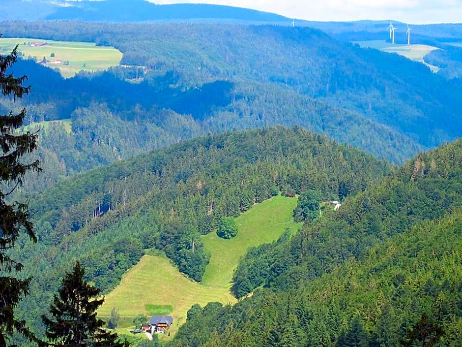 ZUR TRAUBE Schwarzwaldhotel & Restaurant am Titisee