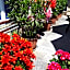 Hotel Krone Rüdesheim