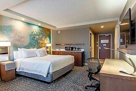 King Room with Wet Bar and Sofa Bed
