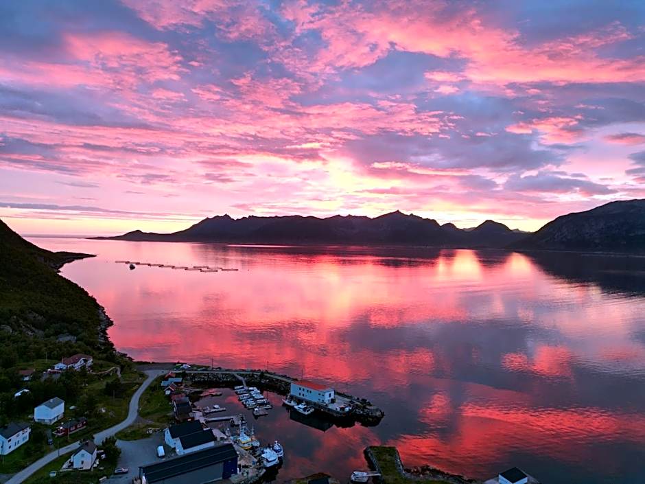 Senja Living