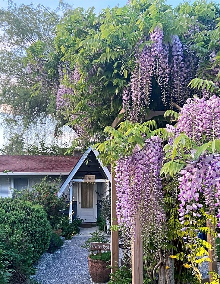 Wisteria Guest House