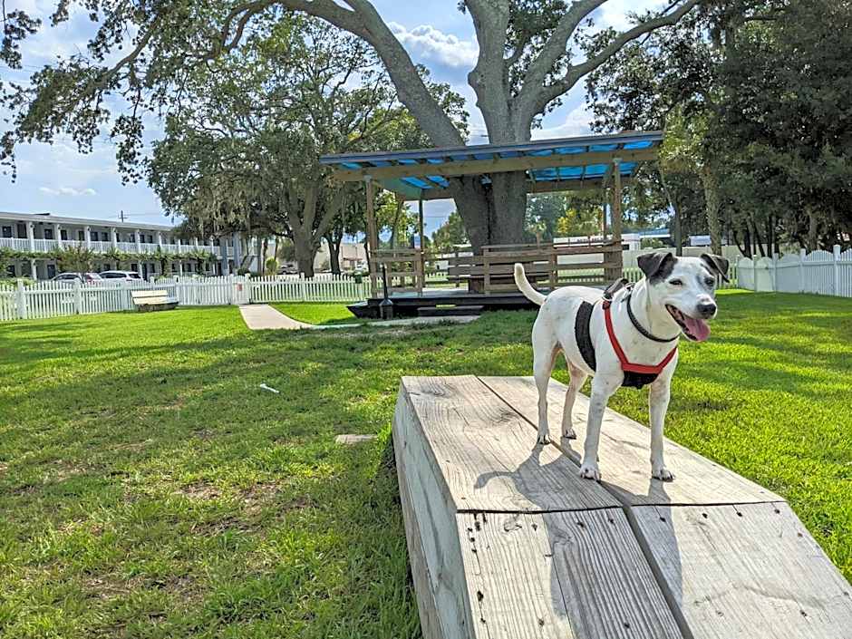 Quality Inn St Augustine Historic District Area