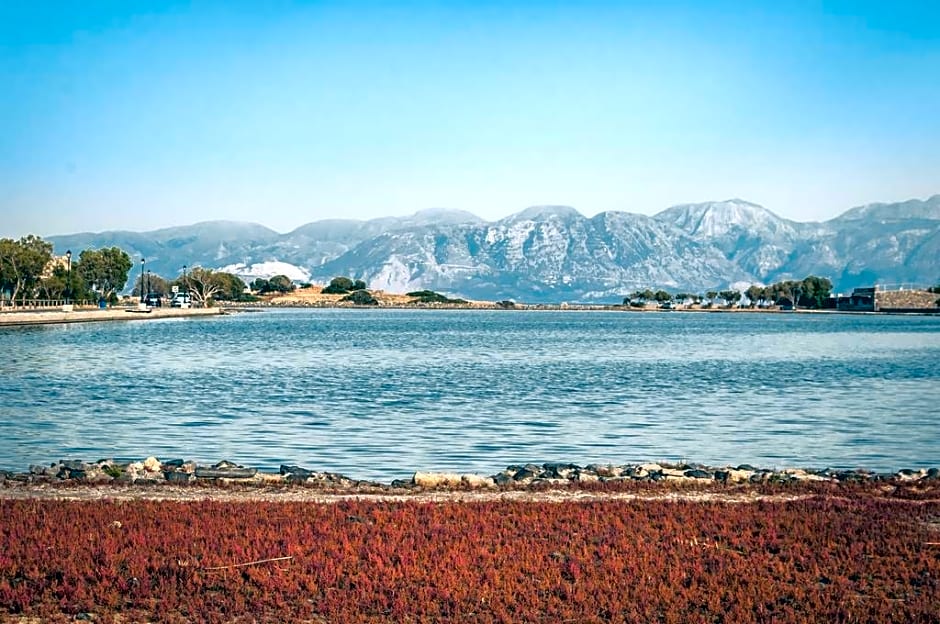 Elounda Olive Garden Studios