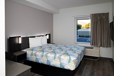 Queen Room - Disability Access - Roll in Shower