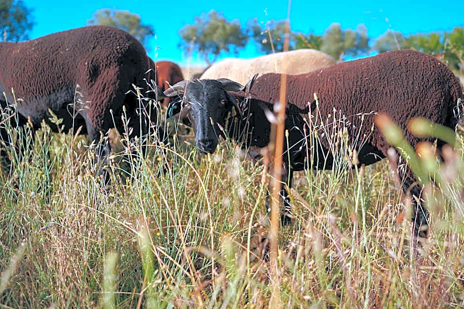 Madre de Água Hotel Rural de Charme