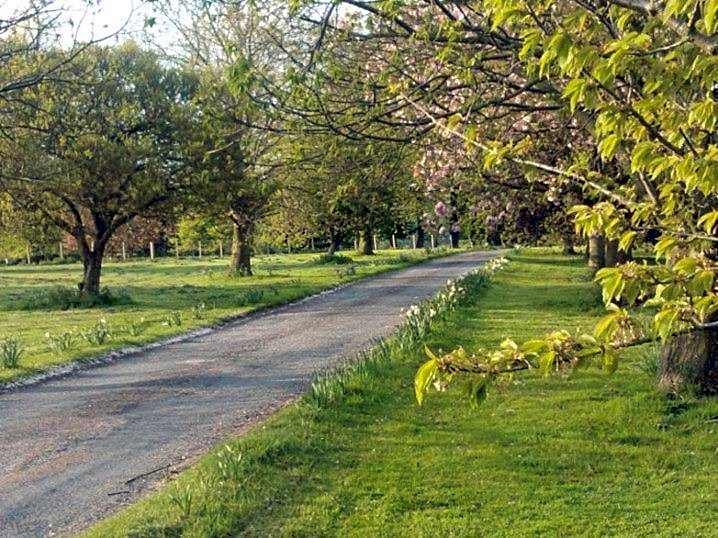 The Judds Folly Hotel, Sure Hotel Collection by Best Western