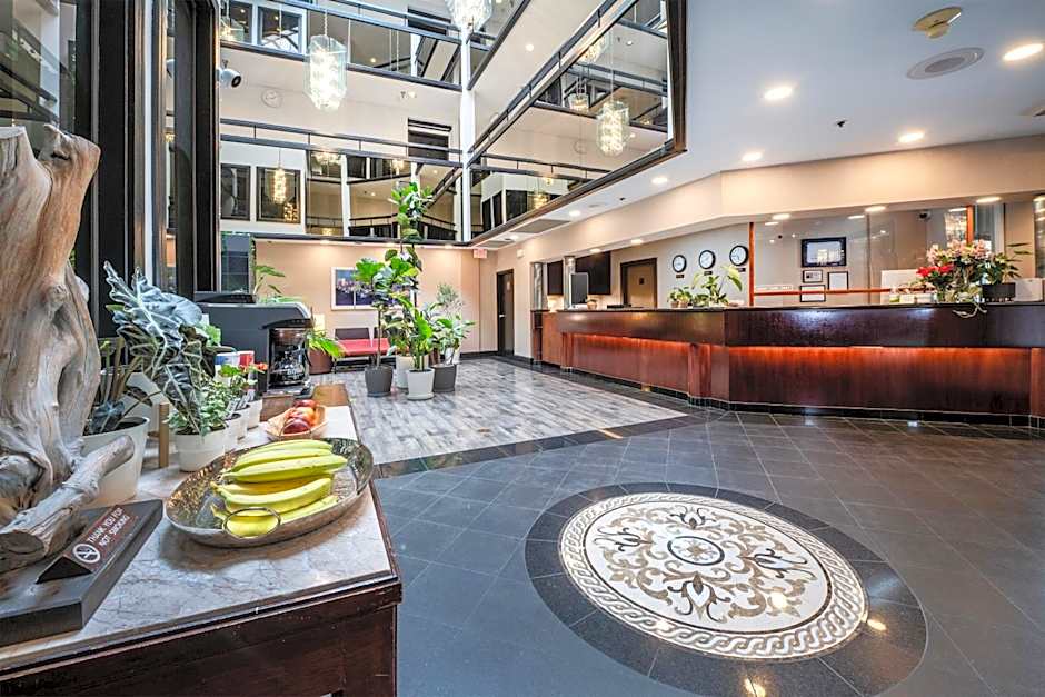 Hotel International