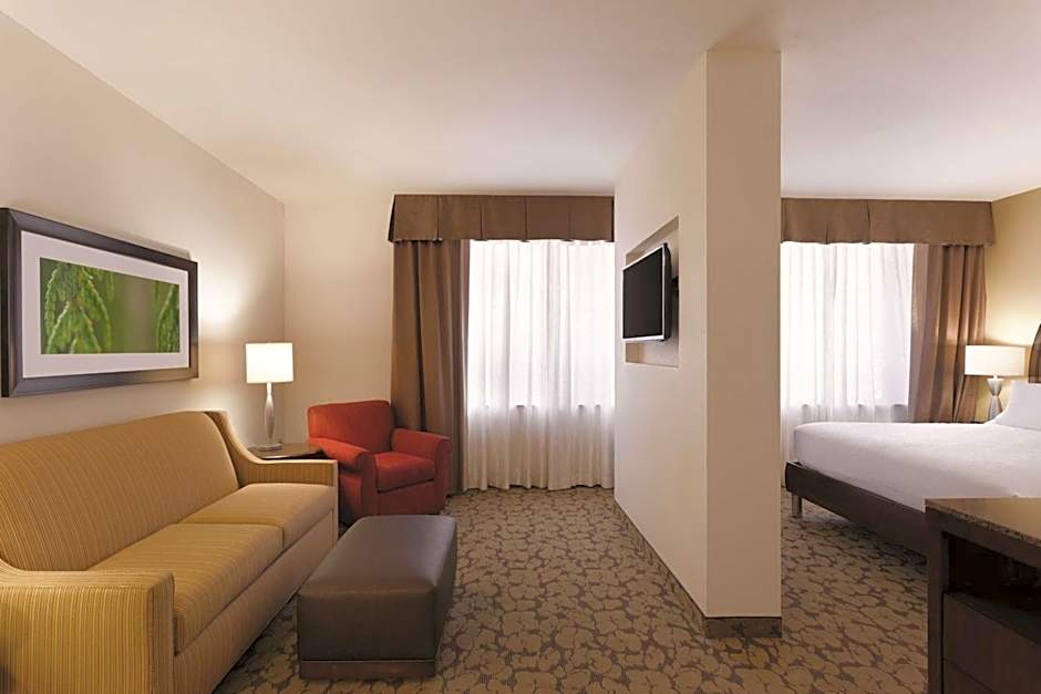 Hilton Garden Inn Rochester Downtown