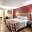 Red Roof Inn Tampa Bay - St. Petersburg