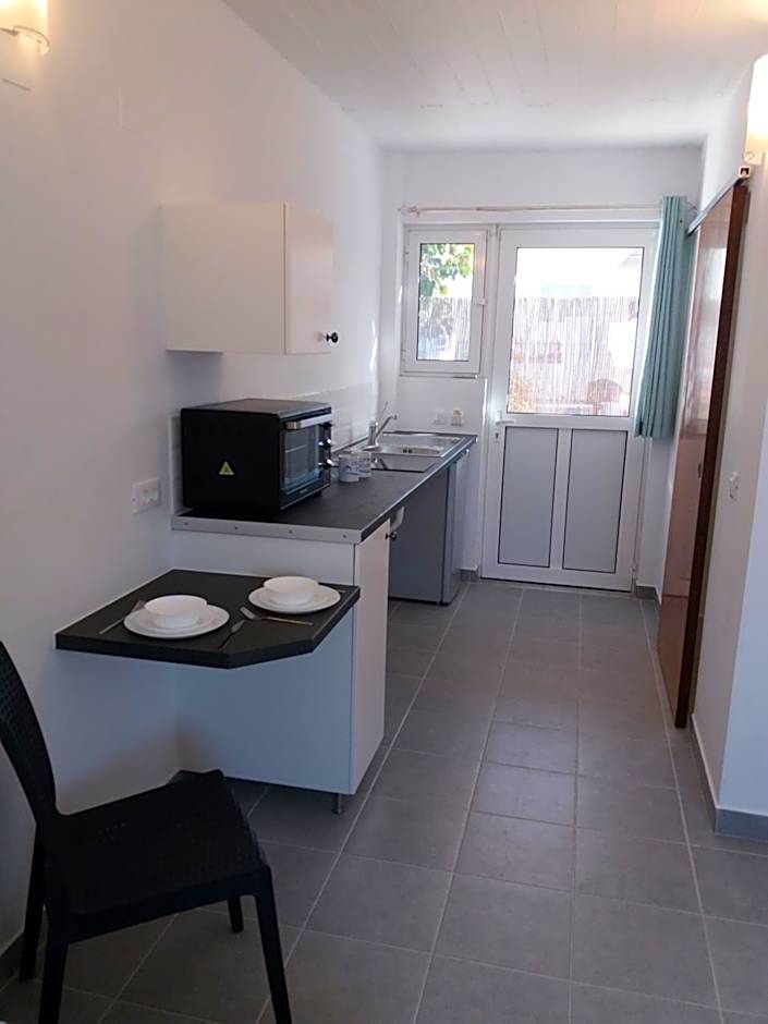 Delphini Studios - for the disabled