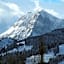 ibis Bulle - La Gruyère