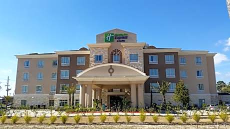 Holiday Inn Express and Suites Atascocita - Humble - Kingwood By IHG