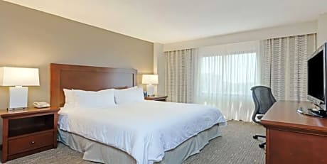 1 Queen Bed Pure Wellness