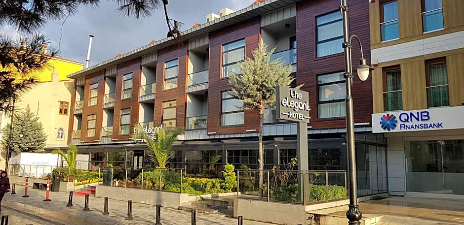 The Elegant Hotel