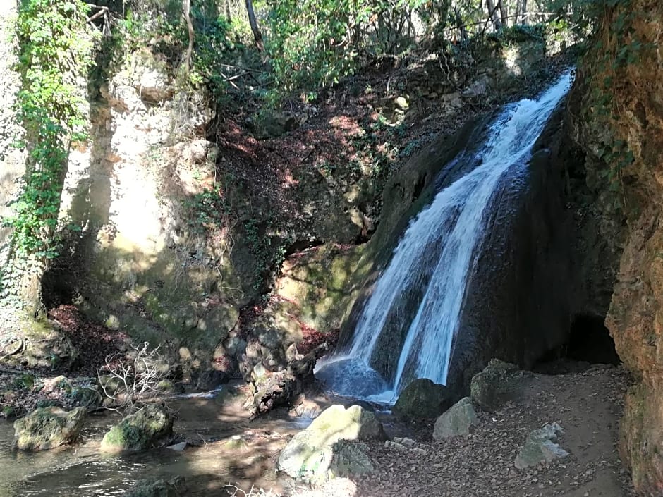 B&B Il Sentiero nel Bosco