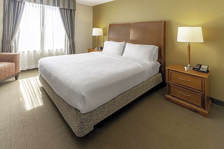 Hilton Garden Inn Houston/The Woodlands