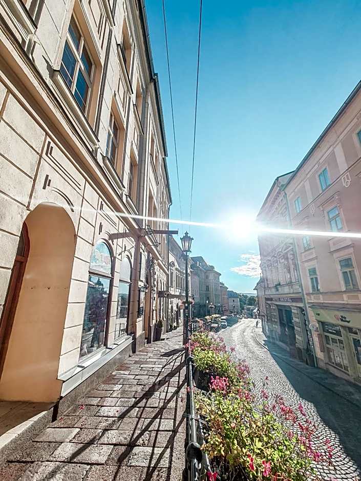 Divná pani Luxury Gallery Rooms