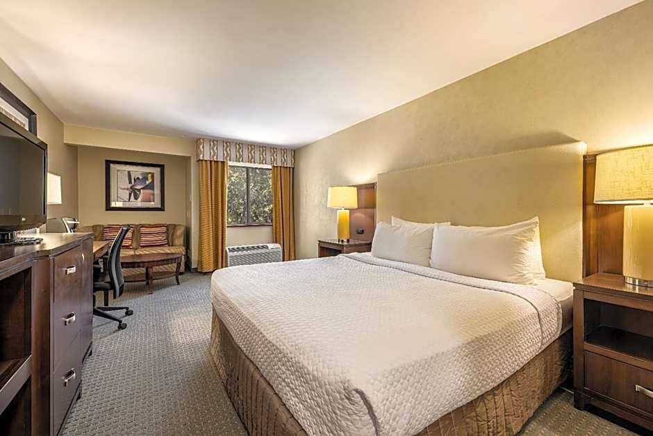 Photo 1 of 8 of Junior 1 King Bed Suite