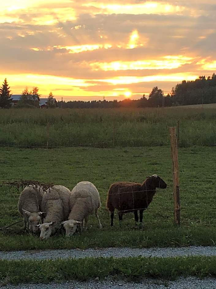 Lomatila Ollila Bungalows