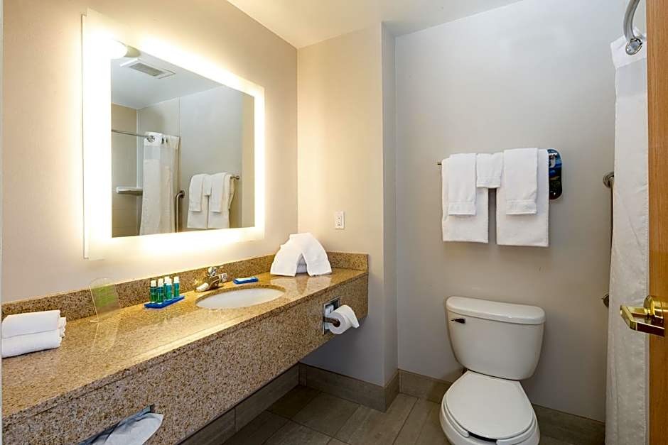 Holiday Inn Express Hotel & Suites Detroit-Utica By IHG