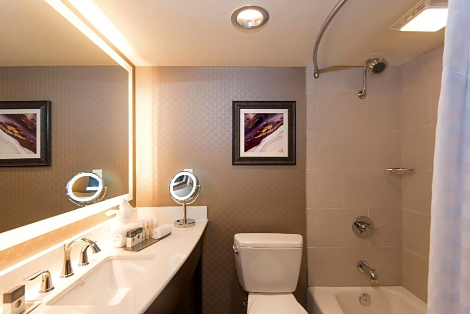 DoubleTree by Hilton Schenectady