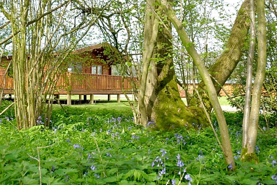 Photo 1 of 26 of South Winchester Lodges