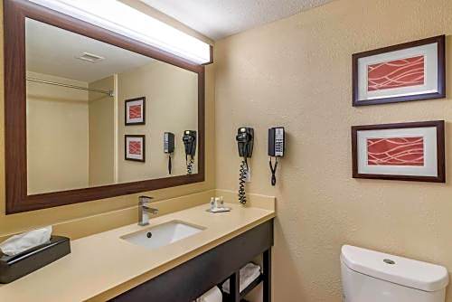Comfort Inn & Suites near Six Flags