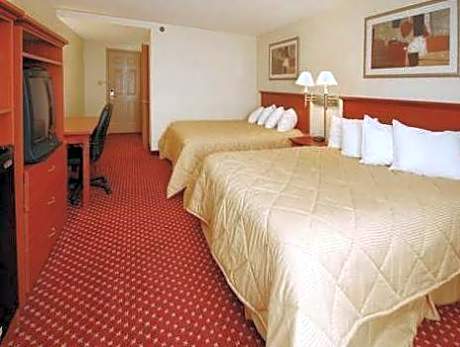 1 Bedroom Suite