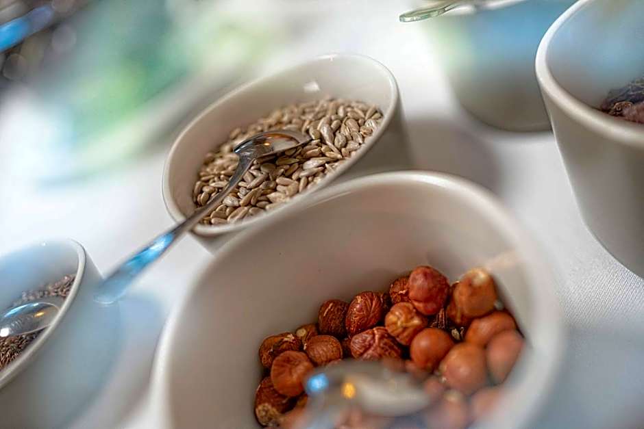 Hotel Bad Salomonsbrunn