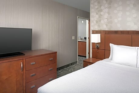 Suite, 1 Bedroom (1 King Bed and 1 Double Sofa Bed)