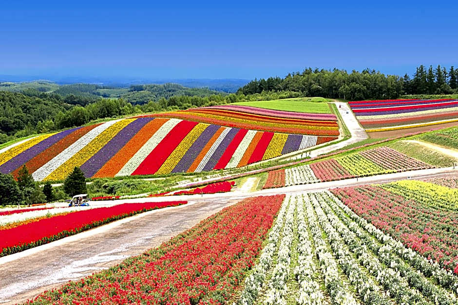 Biei Shirogane Onsen Hotel Park Hills