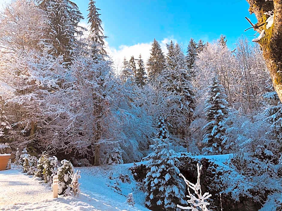 Le Moulin des Olirics