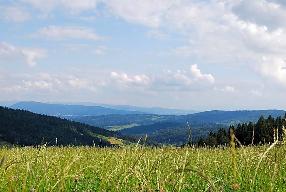 Hotel Olivia Medical SPA