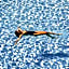 Creta Palm Resort Hotel & Apartments