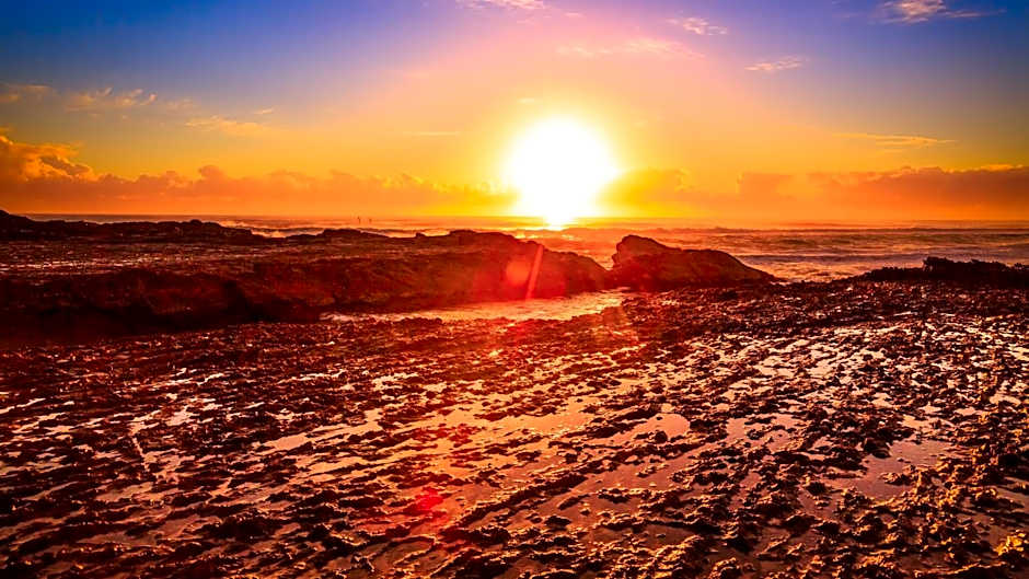 Kirra Surf Apartments