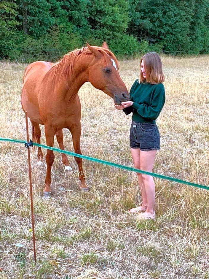 Auberge de la Tuilerie