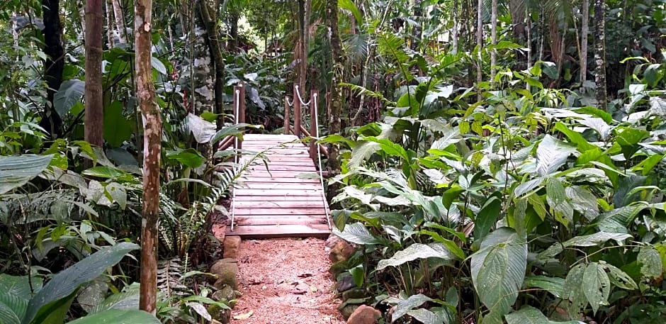 Ada Verde