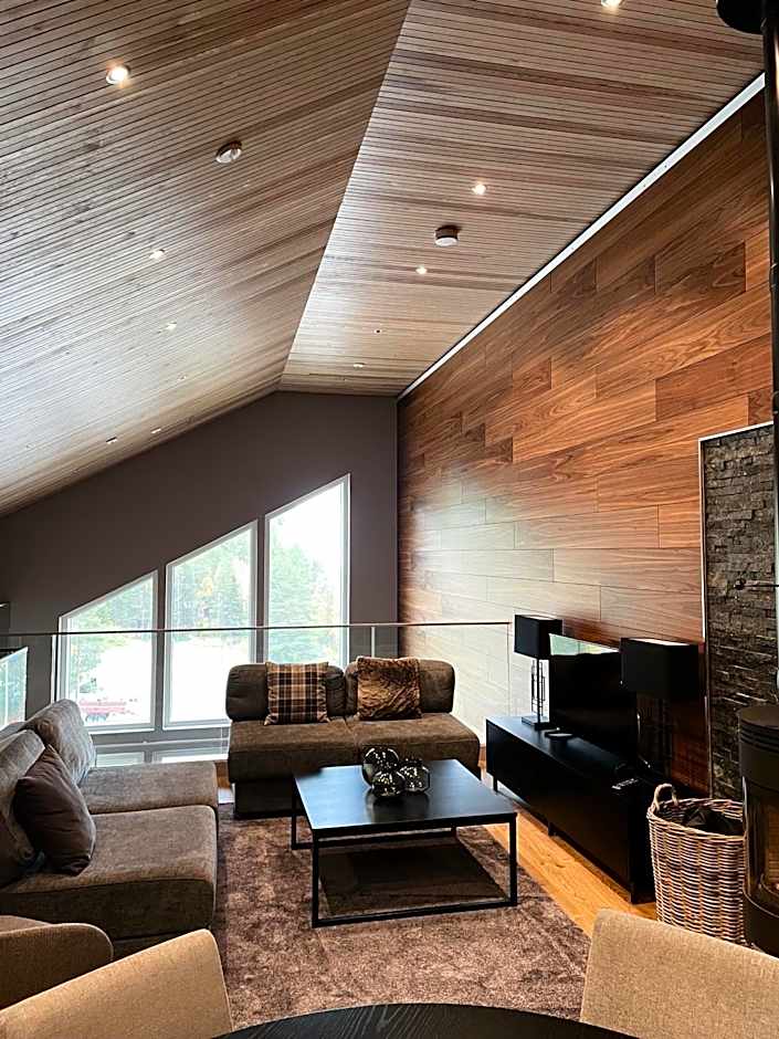 Levin Kunkku B penthouse